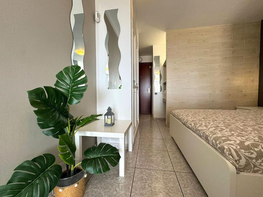 Palm Garden Apartment Morro Jable  Ngoại thất bức ảnh